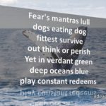 Play Redeems