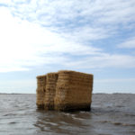 Red River Valley Overland Flooding