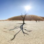 Namibie - Dead Vlei