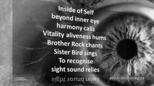 Sight Sound