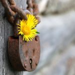 Compassion Confident