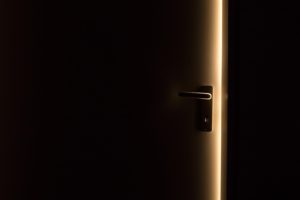 Door Revealed