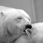 Care