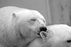 Care