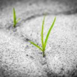 Resilience