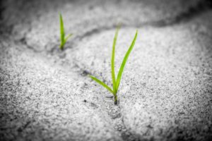Resilience