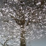 Abundant Generosity