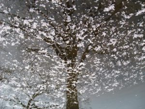 Abundant Generosity