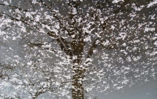 Abundant Generosity