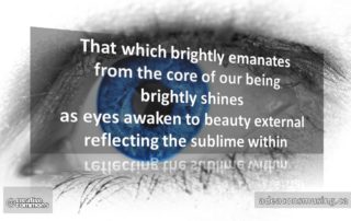 Sublime Within