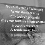 Tenderness' Touch