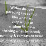 Compassion Awake