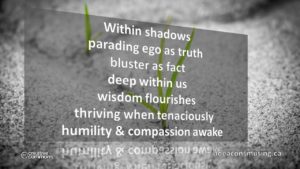 Compassion Awake