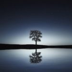 Revitalising Nurture