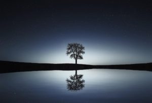 Revitalising Nurture