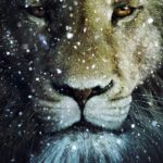 Aslan