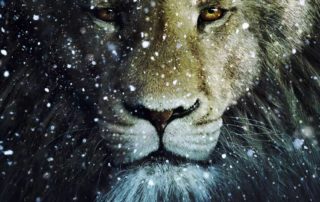 Aslan