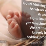 Promise Holy