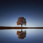 Current Awakening
