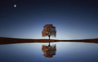 Current Awakening