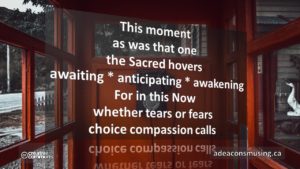 Compassion Calls