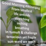 Sun-ward Reach