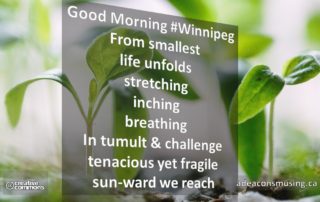 Sun-ward Reach