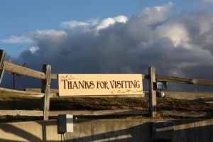 Thanks For Visiting