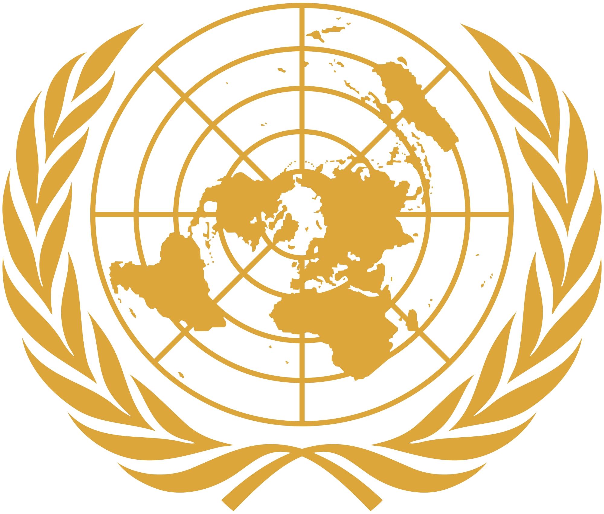 The United Nation's Emblem