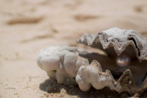 From Sand to Pearl