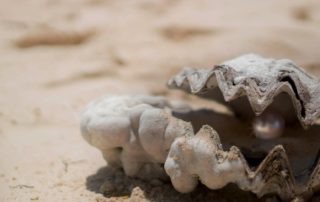 From Sand to Pearl