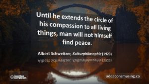 Albert Schweitzer (1923)