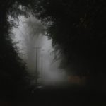 Dawn Waxes