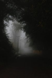 Dawn Waxes