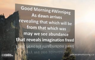 Imagination Freed