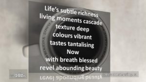 Abounding Beauty
