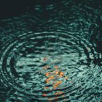 Awareness Dawns