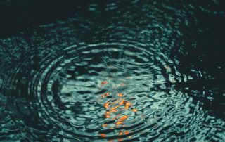Awareness Dawns