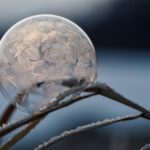 Season's Cold