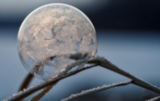 Season's Cold