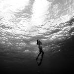 Sages Surfacing