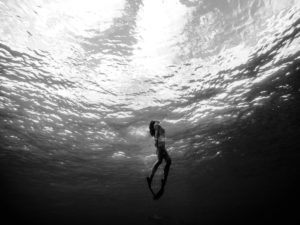 Sages Surfacing