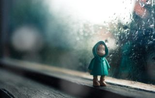 Compassion Companions