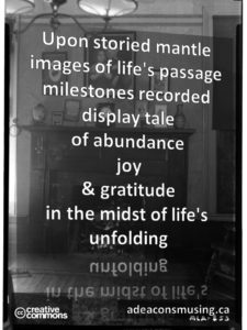 Life's Unfolding