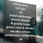 Compassion Companions