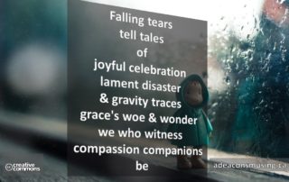 Compassion Companions