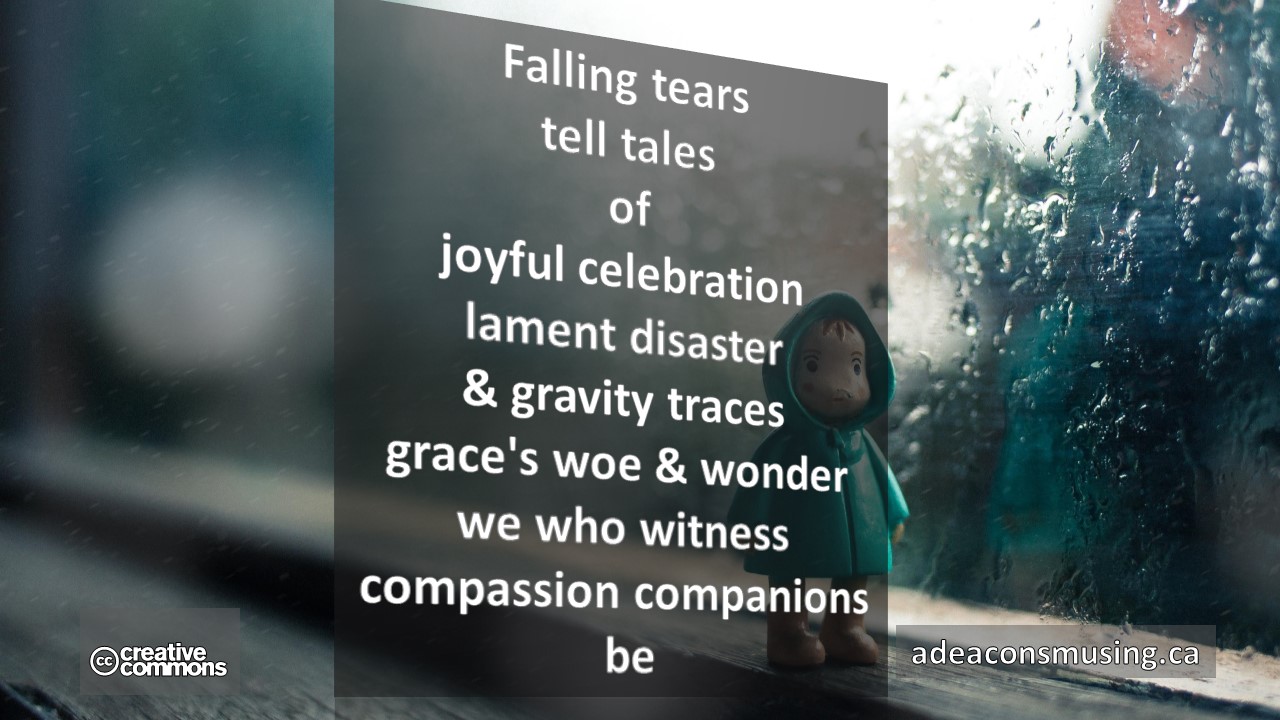 Compassion Companions