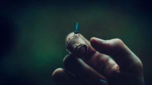 Forgiveness