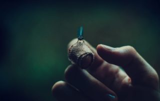 Forgiveness