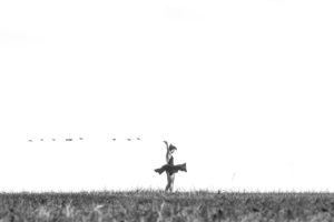 Freedom